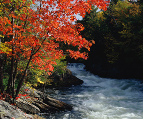 River rapids in autumn